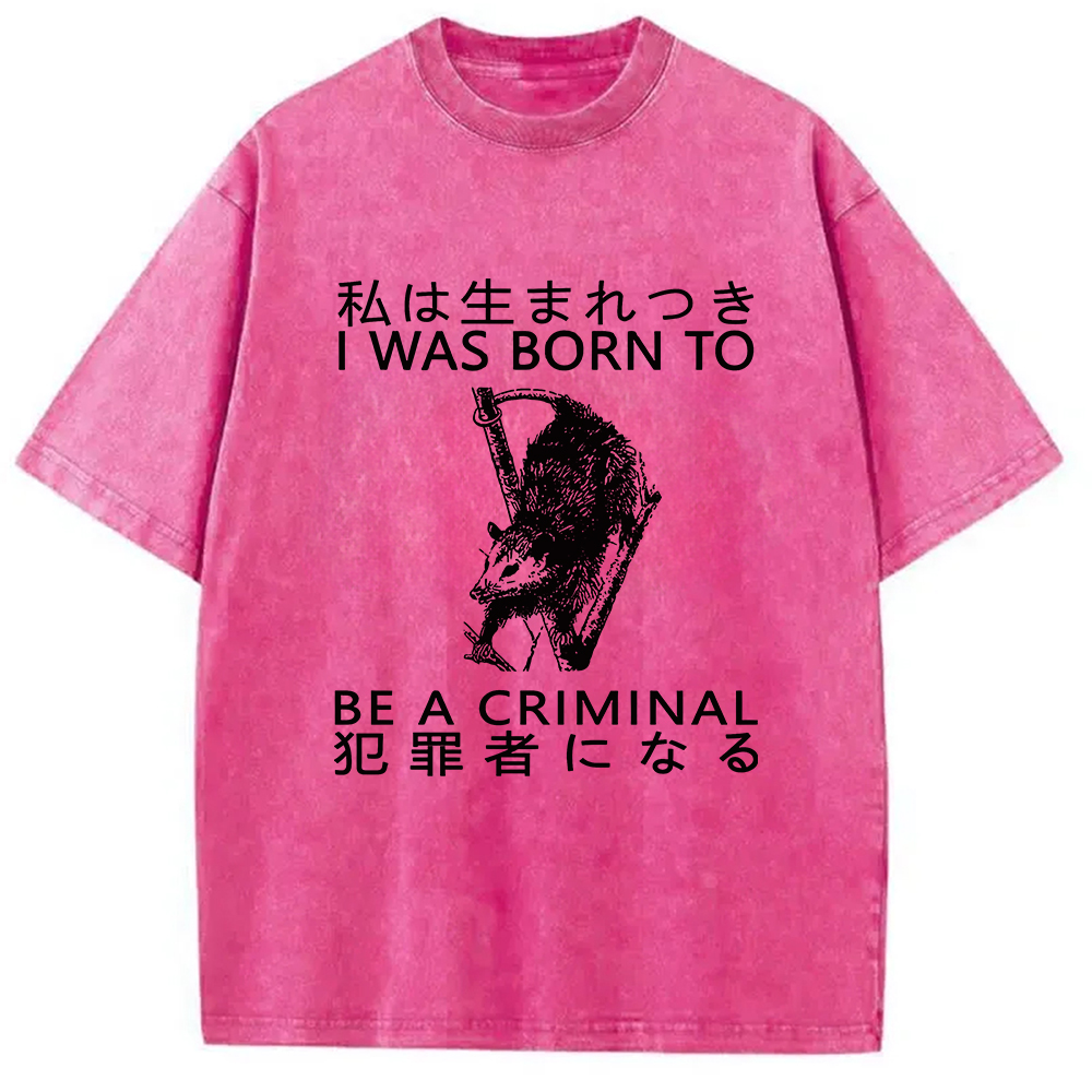 Modecanvas I Was Born To Be A Criminal Washed T-Shirt