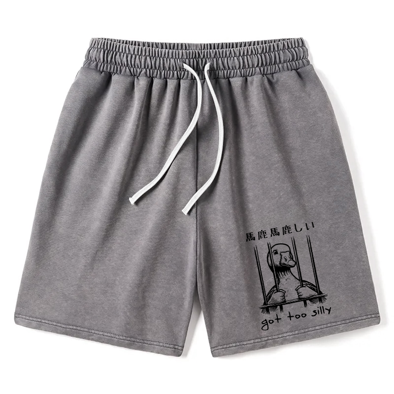 Modecanvas Got Too Silly Washed Shorts