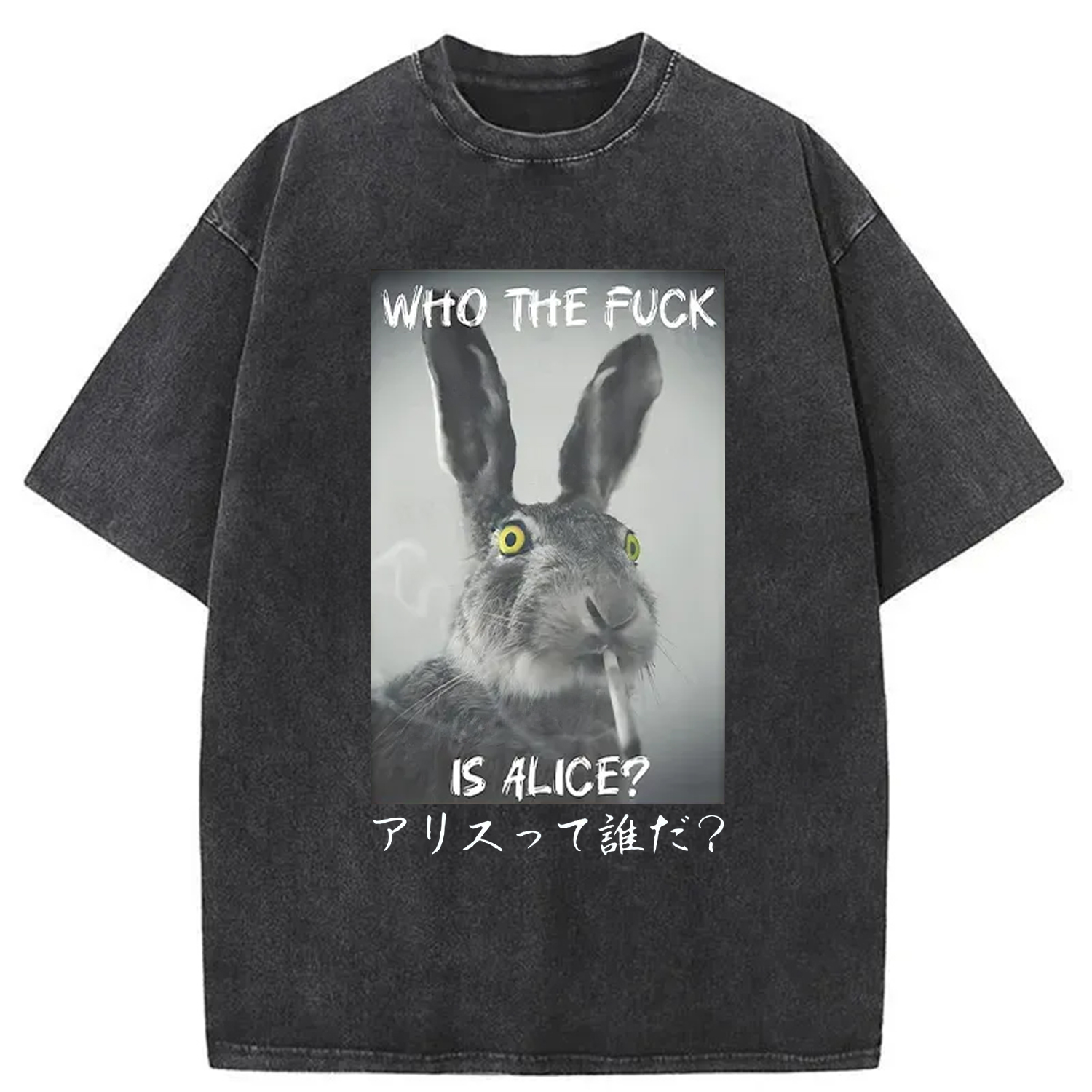 Modecanvas Who Is Alice? Washed T-Shirt