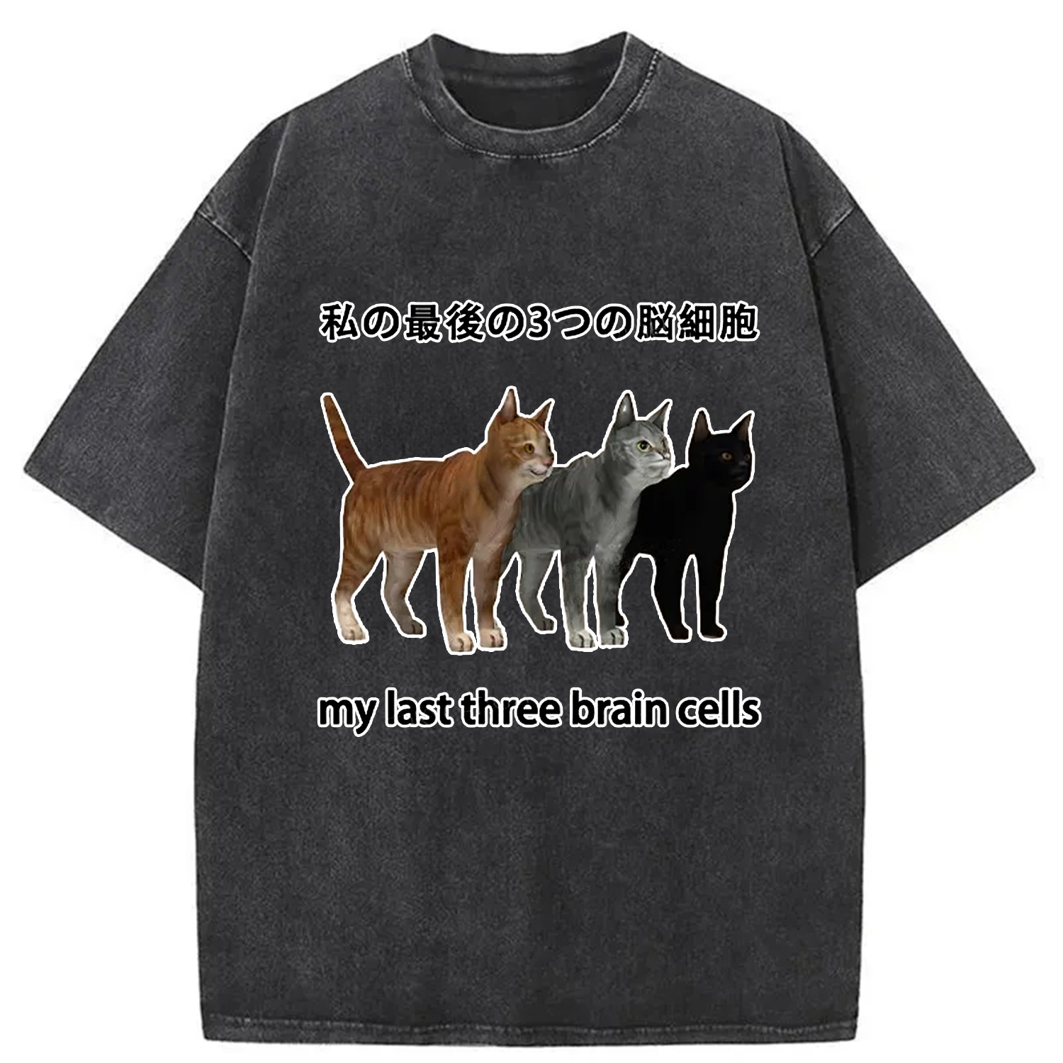 Modecanvas My Last Three Brain Cells Washed T-Shirt