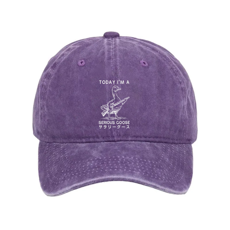 Modecanvas Serious Stupid Goose Washed Cap-modecanvas