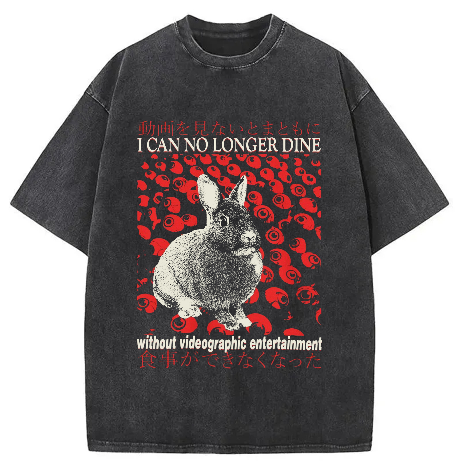 Modecanvas I Can No Longer Dine without Videographic Entertainment Washed T-Shirt-modecanvas