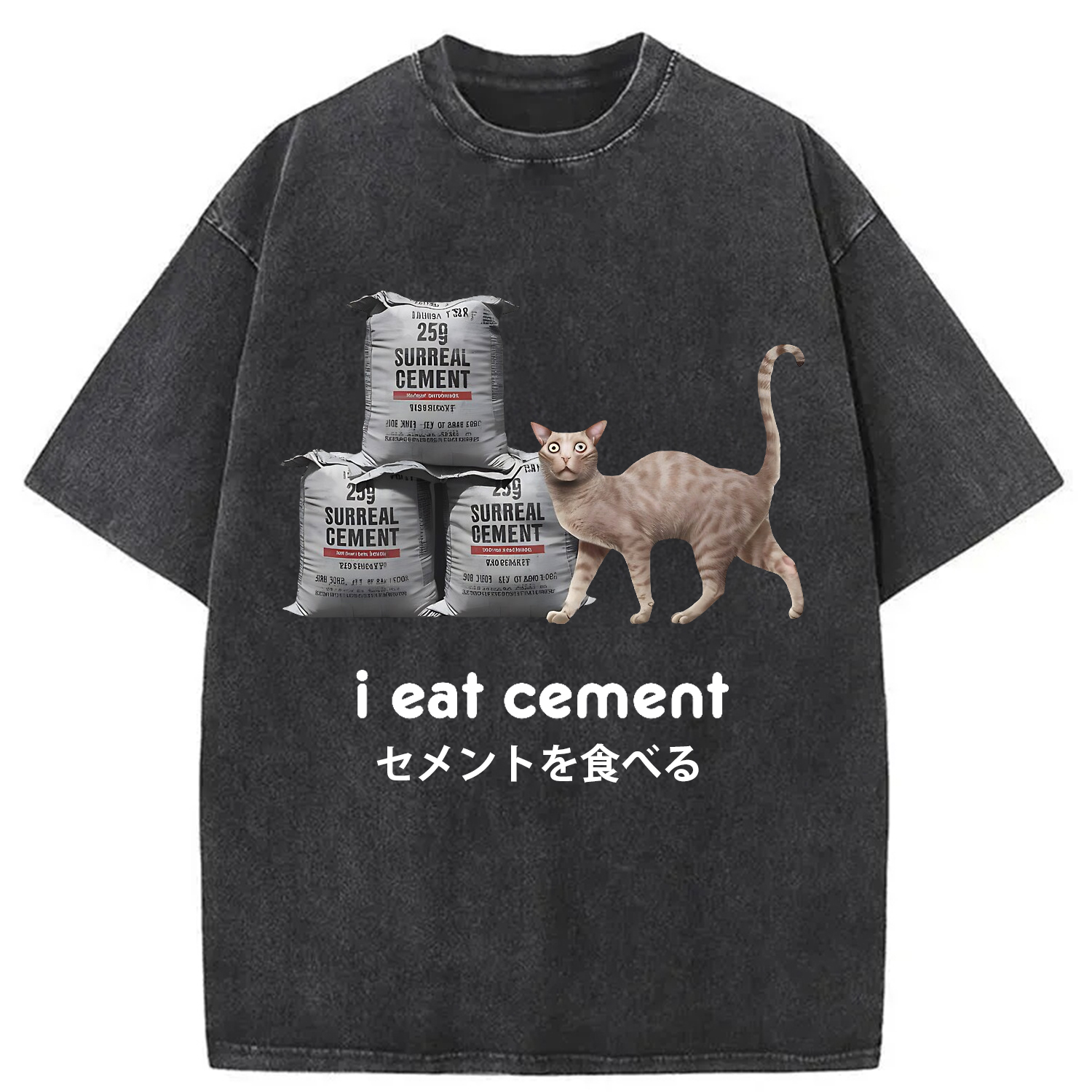 Modecanvas I Eat Cement Cursed Cat Washed T-Shirt