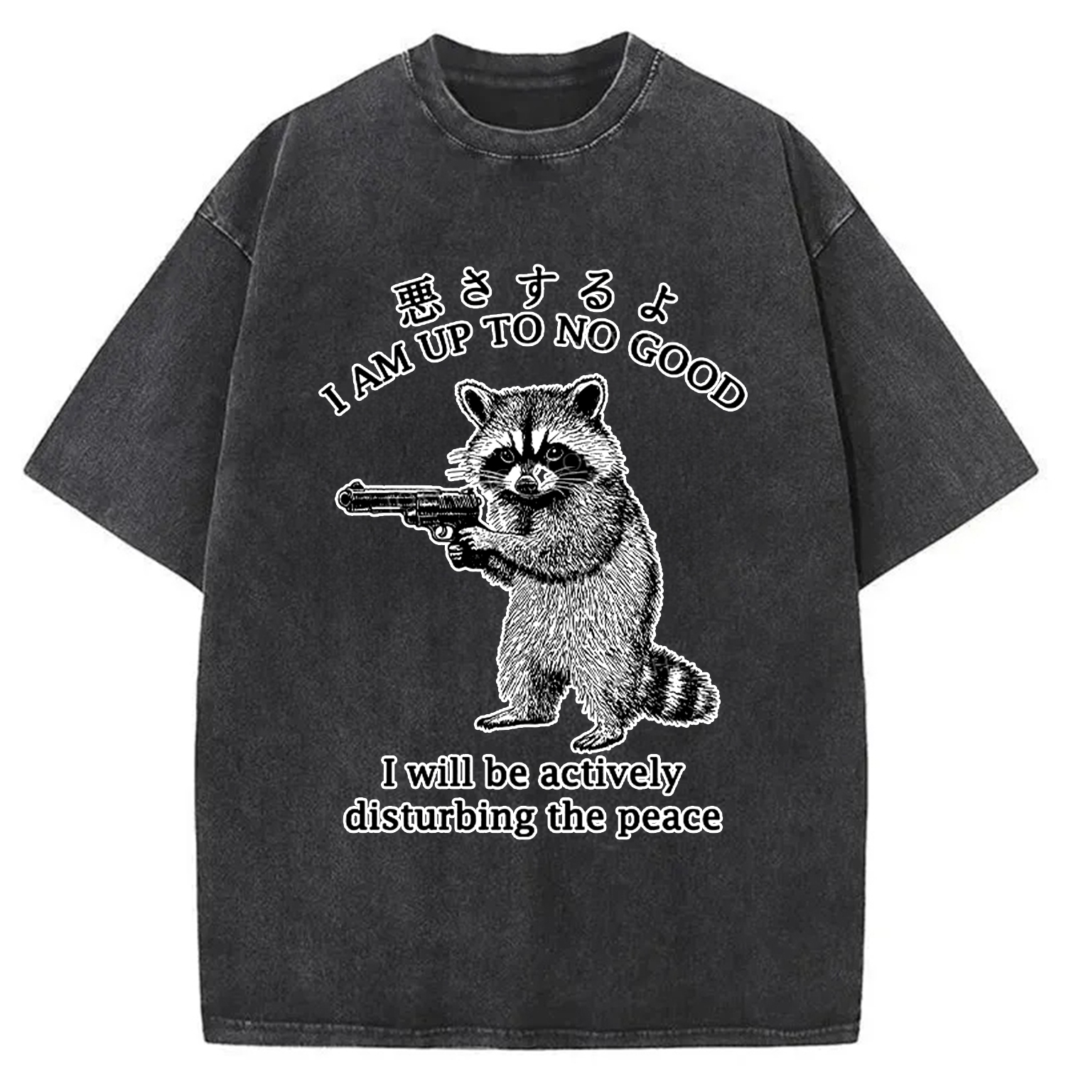 Modecanvas Raccoon Disturbing The Peace Washed T-Shirt