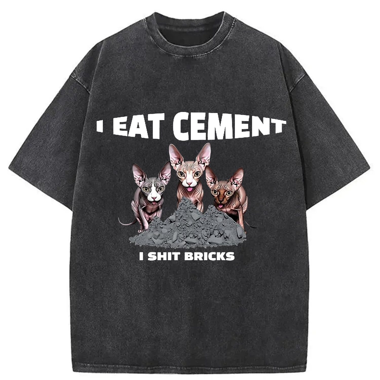Modecanvas I Eat Cement Cursed Cat Meme Washed T-Shirt