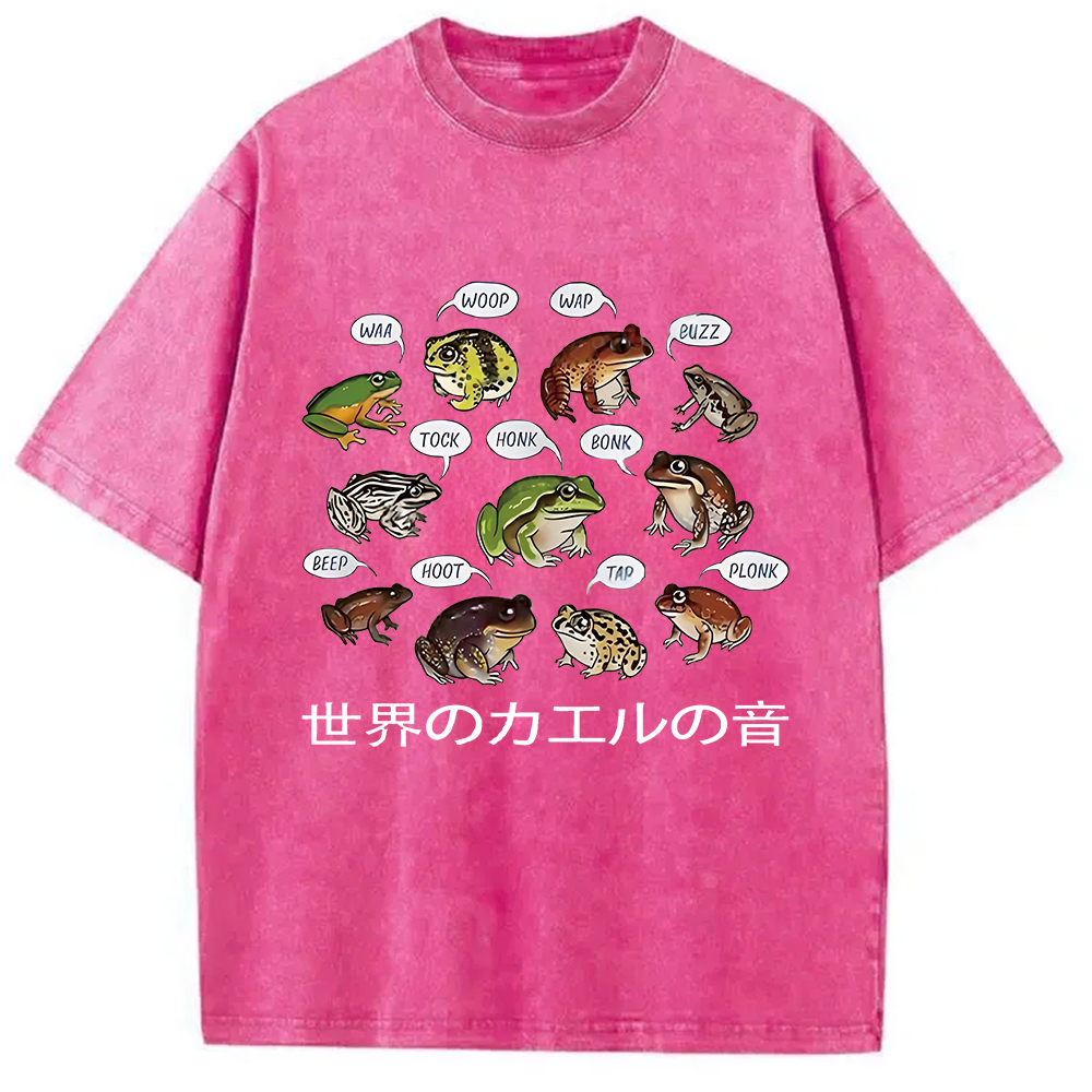Modecanvas Frog Sounds From Around The World Washed T-Shirt