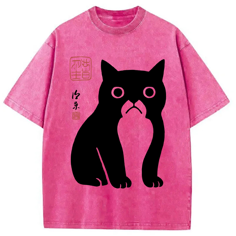 Modecanvas Funny Zen Cat Meme Washed T-Shirt