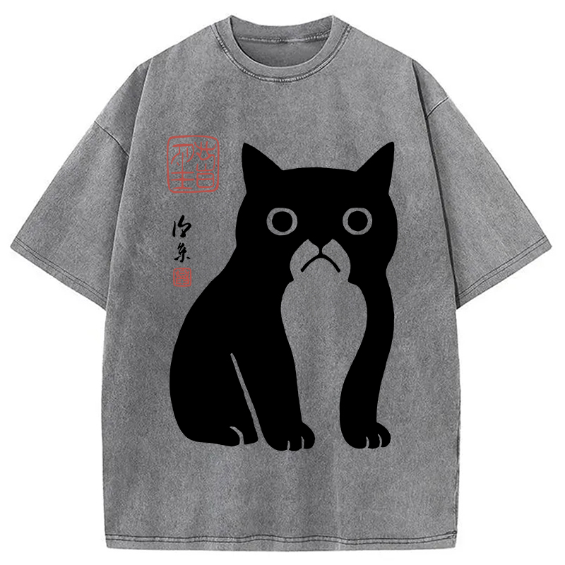 Modecanvas Funny Zen Cat Meme Washed T-Shirt