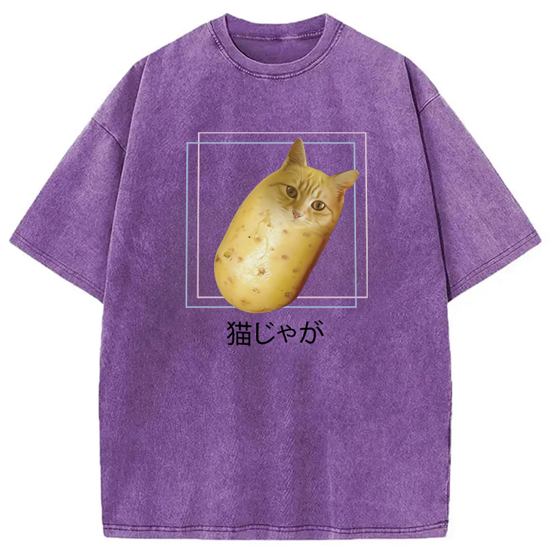 Modecanvas Silly Potato Cat Funny Meme Washed T-Shirt