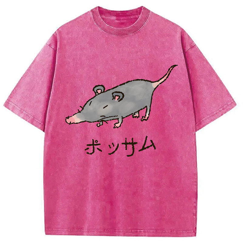 Modecanvas Possamu Rat Washed T-Shirt