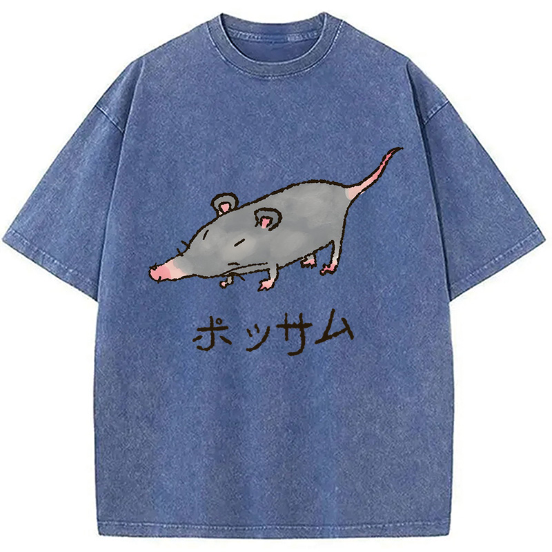 Modecanvas Possamu Rat Washed T-Shirt