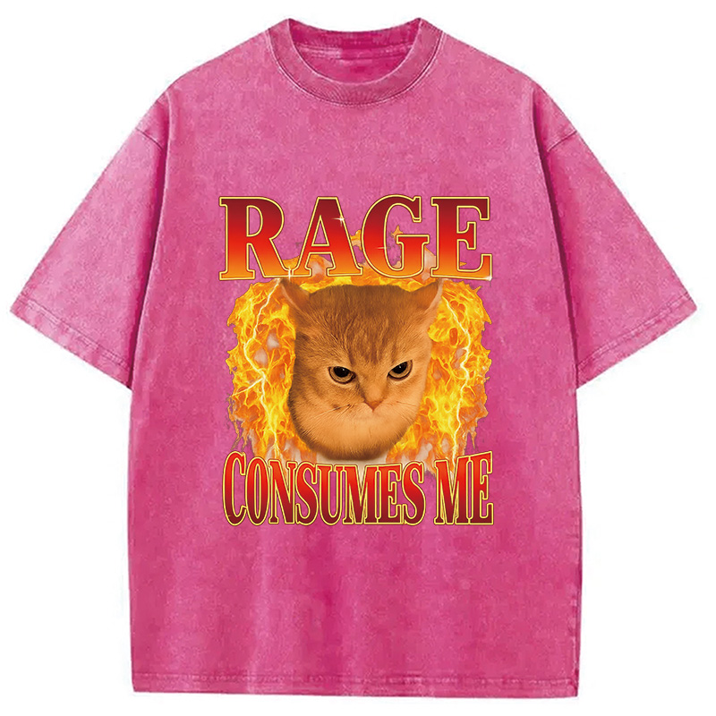Modecanvas Rage Consumes Me Edgy Funny Cat Meme Washed T-Shirt-modecanvas
