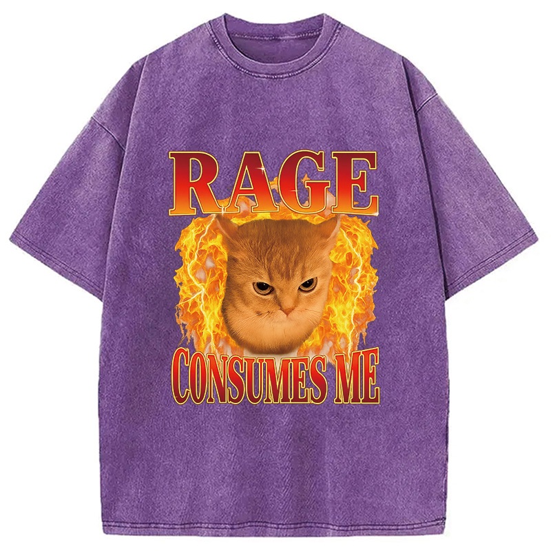 Modecanvas Rage Consumes Me Edgy Funny Cat Meme Washed T-Shirt-modecanvas
