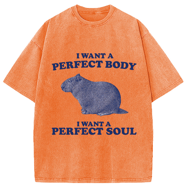 Modecanvas Capybara I Want A Perfect Washed T-Shirt