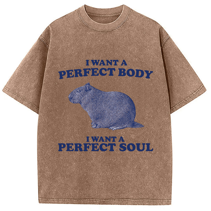 Modecanvas Capybara I Want A Perfect Washed T-Shirt