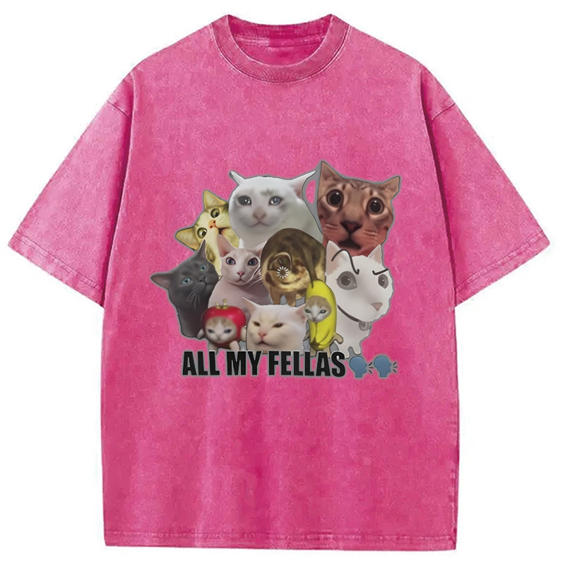 Modecanvas All My Fellas Internet Cats Meme Washed T-Shirt