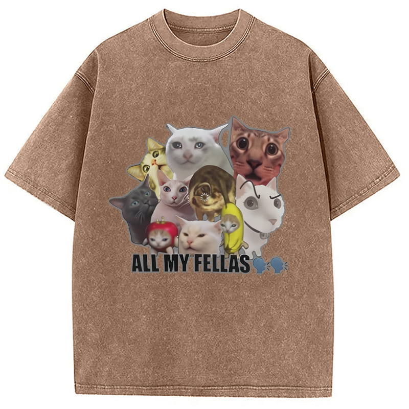 Modecanvas All My Fellas Internet Cats Meme Washed T-Shirt