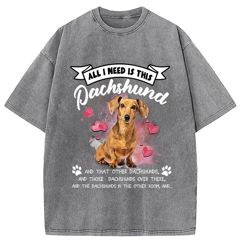 Modecanvas All I Need This Washed T-Shirt