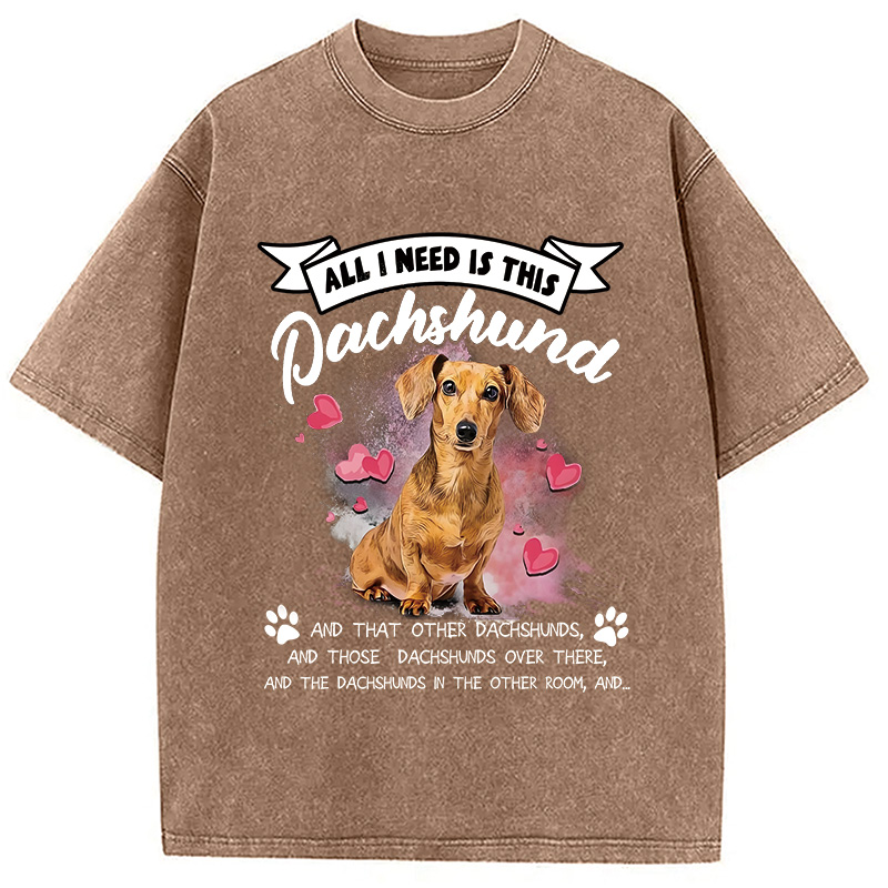 Modecanvas All I Need This Washed T-Shirt