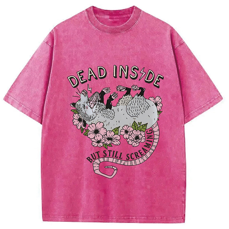 Modecanvas Dead Inside Washed T-Shirt