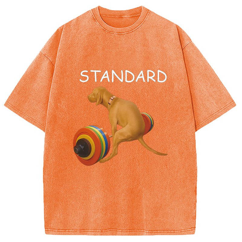 Modecanvas Standard Dog FItness Meme Washed T-Shirt