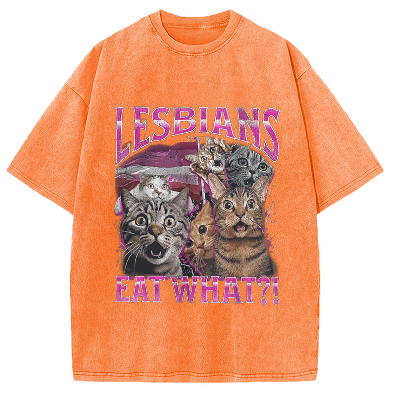 Modecanvas Lesbians Eat What?! Funny Washed T-Shirt-modecanvas