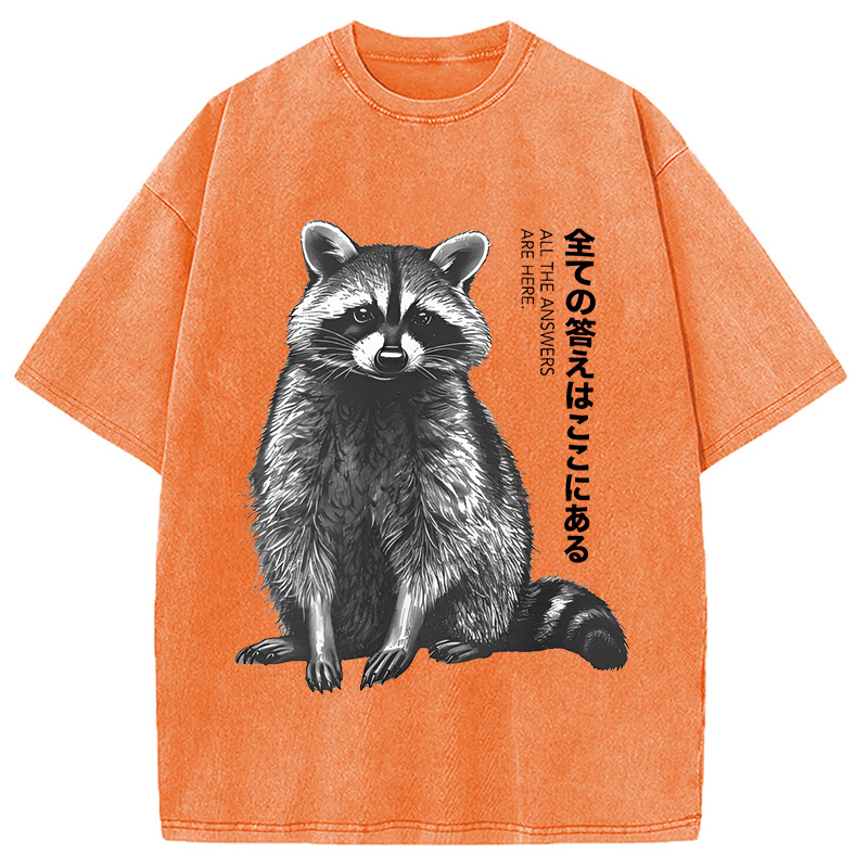 Modecanvas Funny Kawaii Raccoon Washed T-Shirt