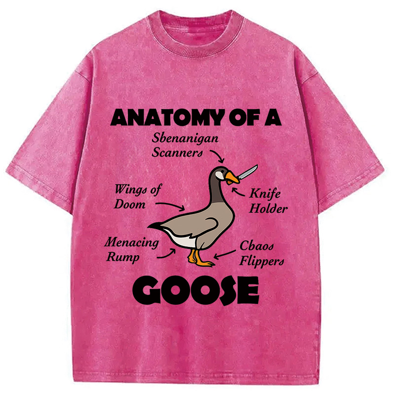 Modecanvas Anatomy of A Goose Washed T-Shirt