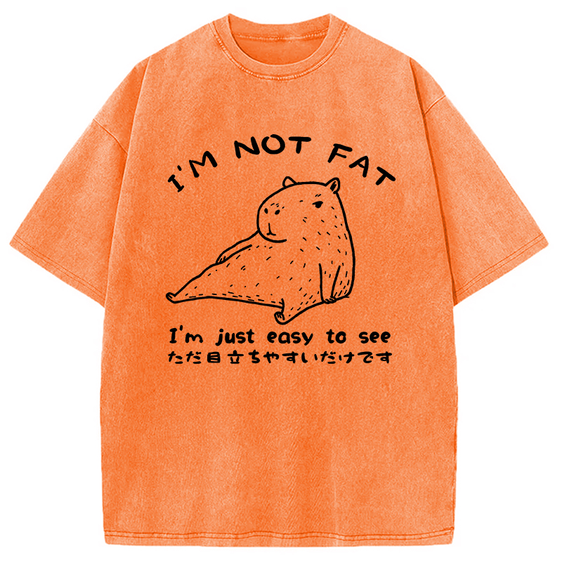 Modecanvas Capybara Fat Just Easy to See Washed T-Shirt