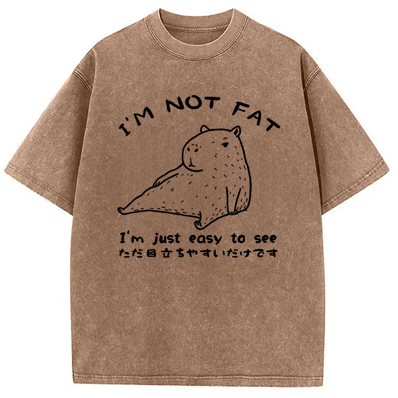 Modecanvas Capybara Fat Just Easy to See Washed T-Shirt