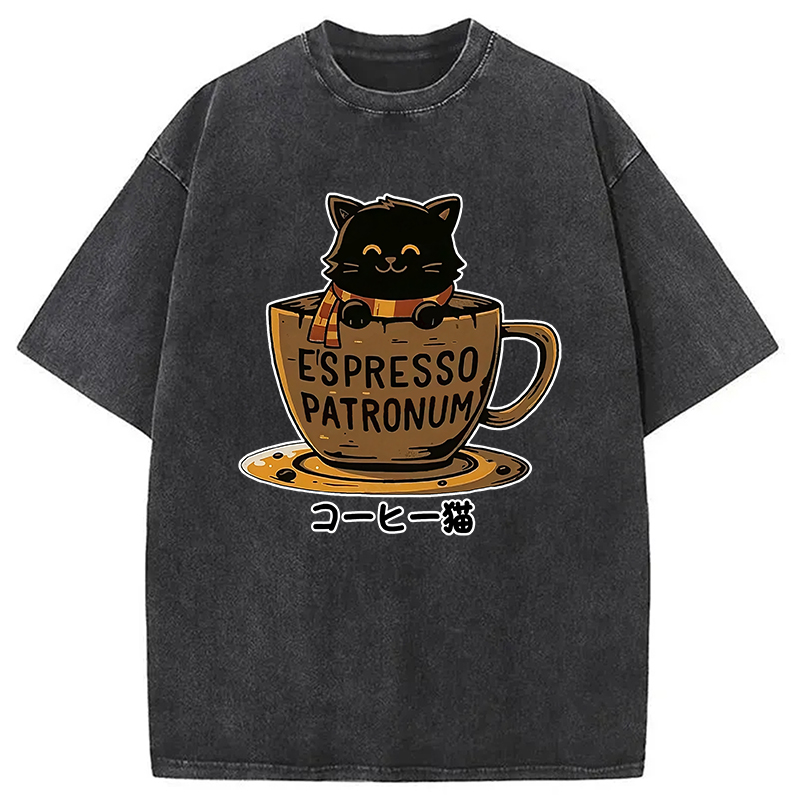 Modecanvas Cat In A Coffee Cup Washed T-Shirt
