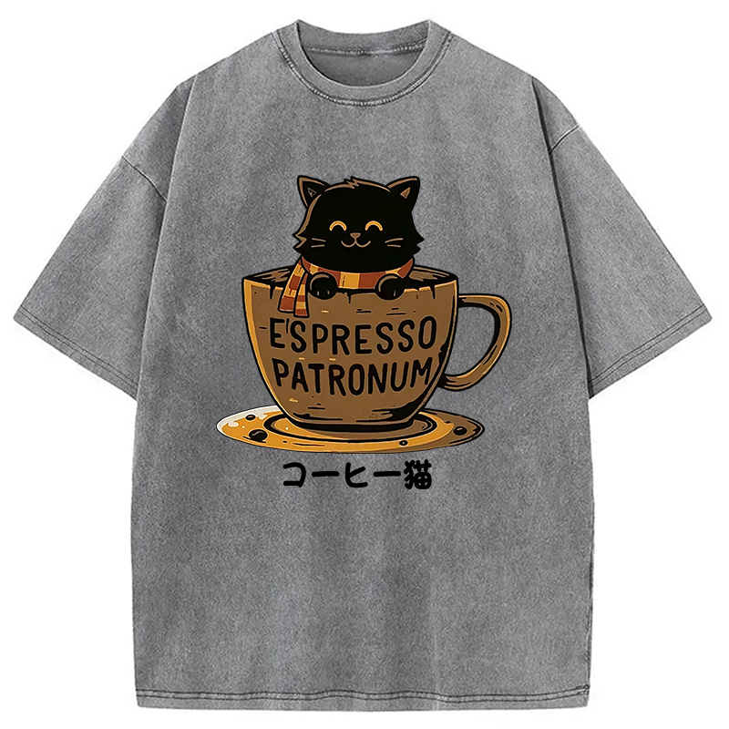 Modecanvas Cat In A Coffee Cup Washed T-Shirt