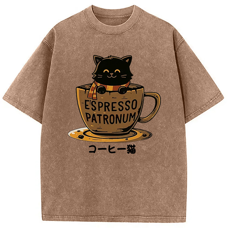 Modecanvas Cat In A Coffee Cup Washed T-Shirt