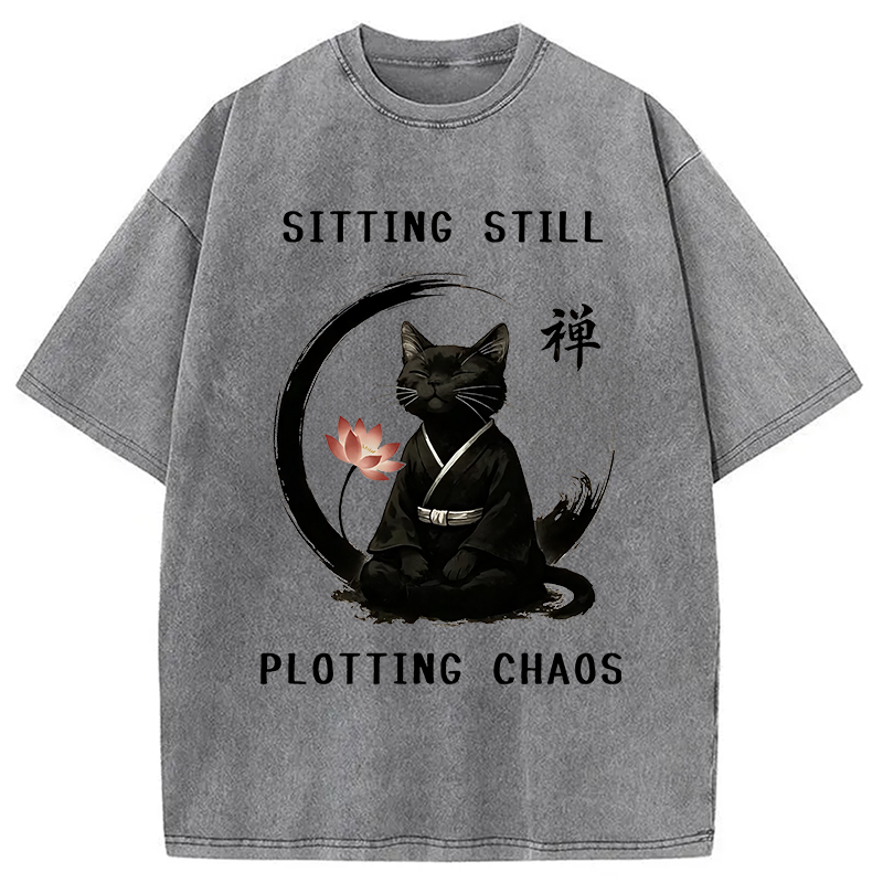 Modecanvas Sitting Calming Zen Cat Washed T-Shirt