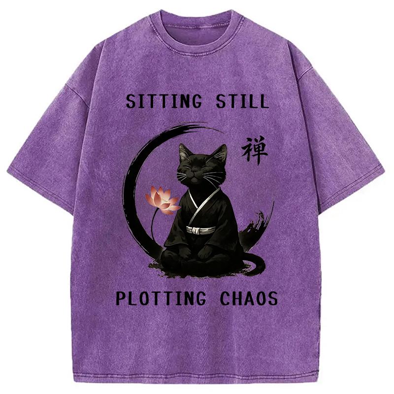Modecanvas Sitting Calming Zen Cat Washed T-Shirt