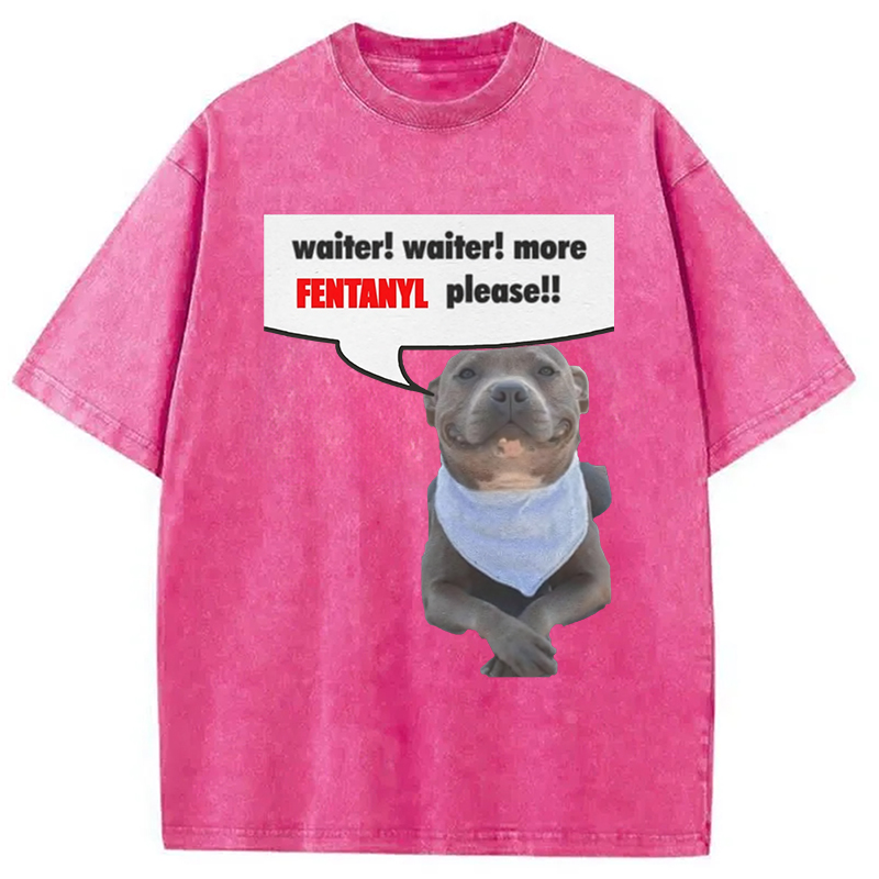 Modecanvas Waiter Waiter More Fentanyl Meme Washed T-Shirt