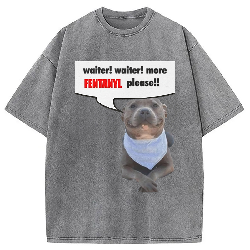 Modecanvas Waiter Waiter More Fentanyl Meme Washed T-Shirt