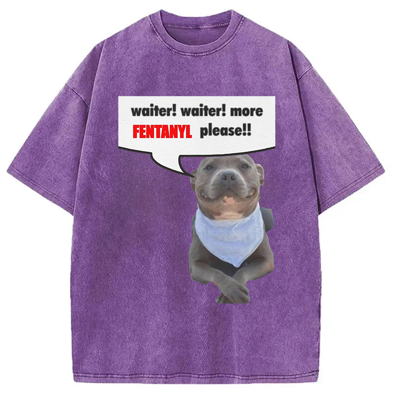 Modecanvas Waiter Waiter More Fentanyl Meme Washed T-Shirt