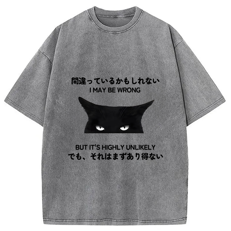 Modecanvas Cat Can Do No Wrong Washed T-Shirt