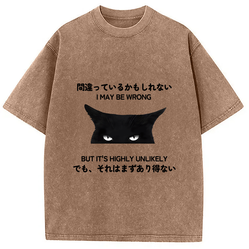 Modecanvas Cat Can Do No Wrong Washed T-Shirt