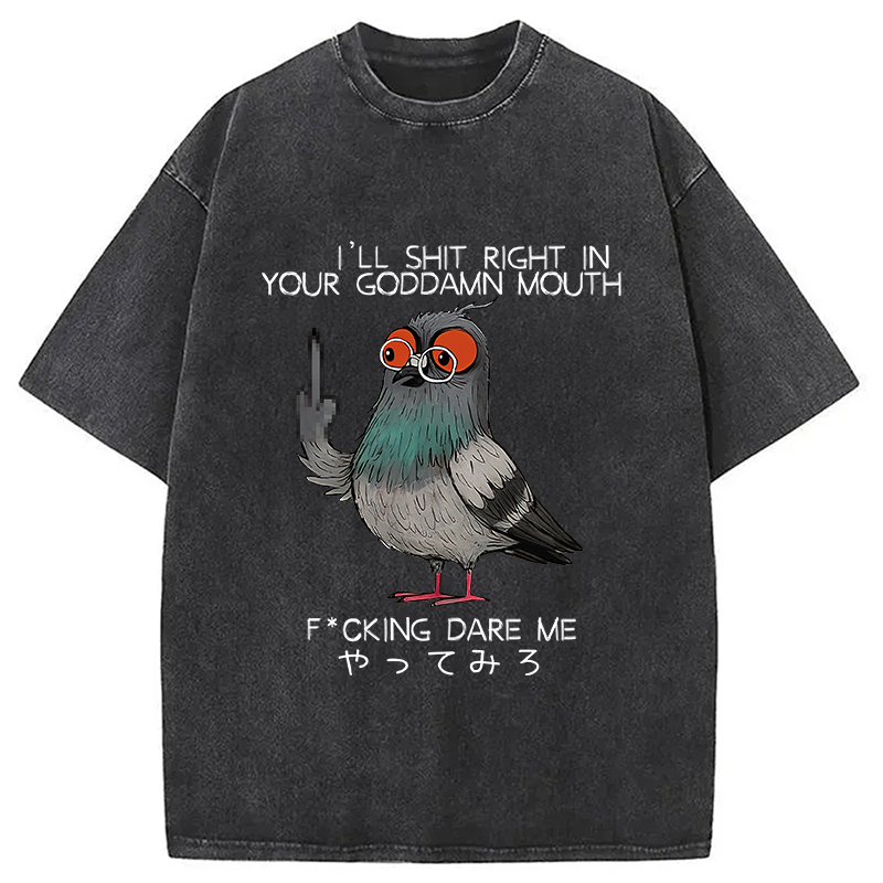 Modecanvas Angry Pigeon Washed T-Shirt