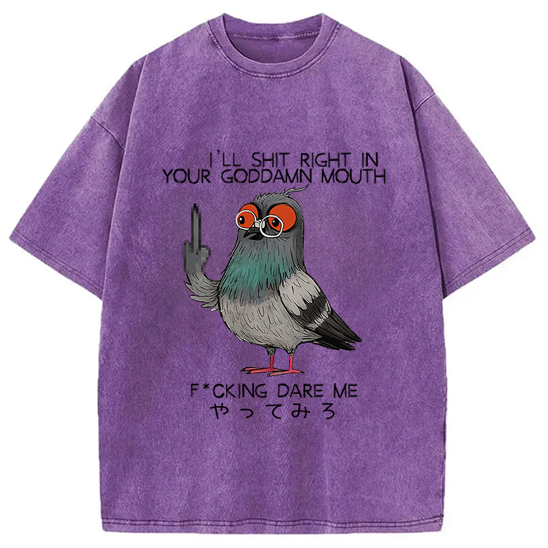 Modecanvas Angry Pigeon Washed T-Shirt