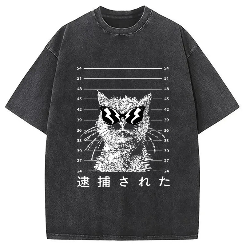Modecanvas Cat Was Arrested  Washed T-Shirt