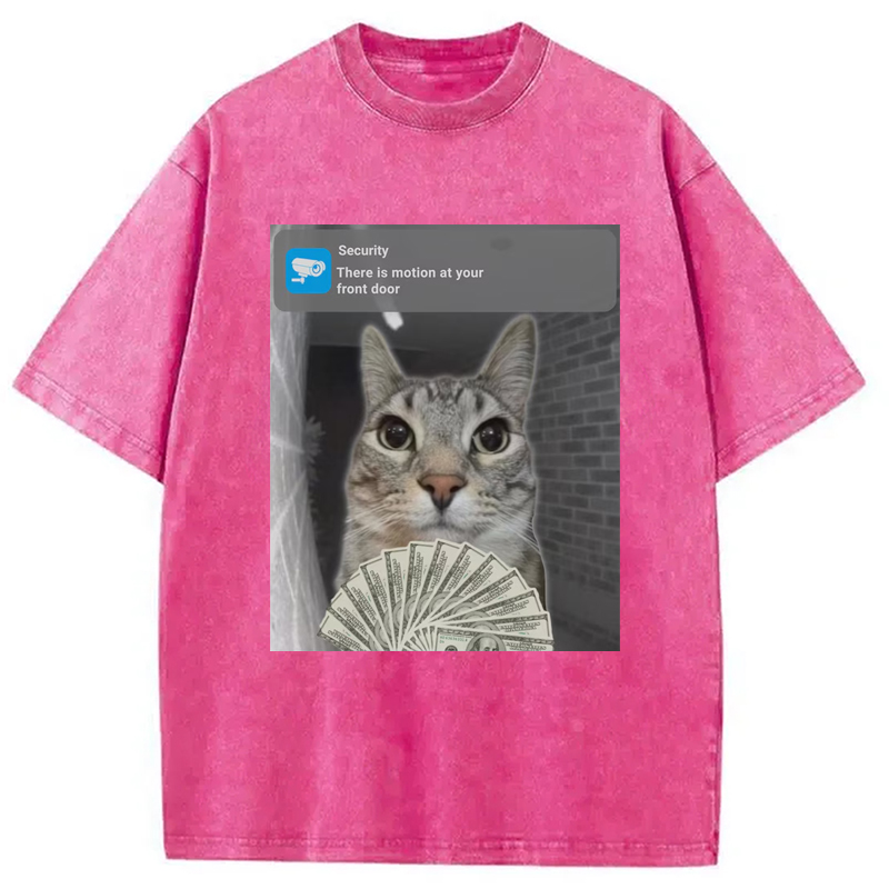 Modecanvas Ring Cat with Motion Meme Washed T-Shirt