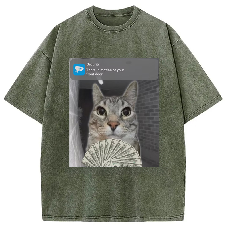 Modecanvas Ring Cat with Motion Meme Washed T-Shirt