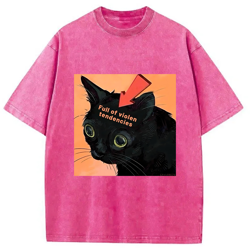 Modecanvas Full of Violen Tendencies Washed T-Shirt