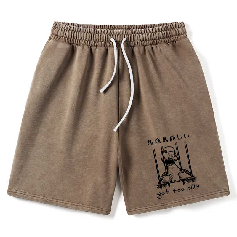 Modecanvas Got Too Silly Washed Shorts
