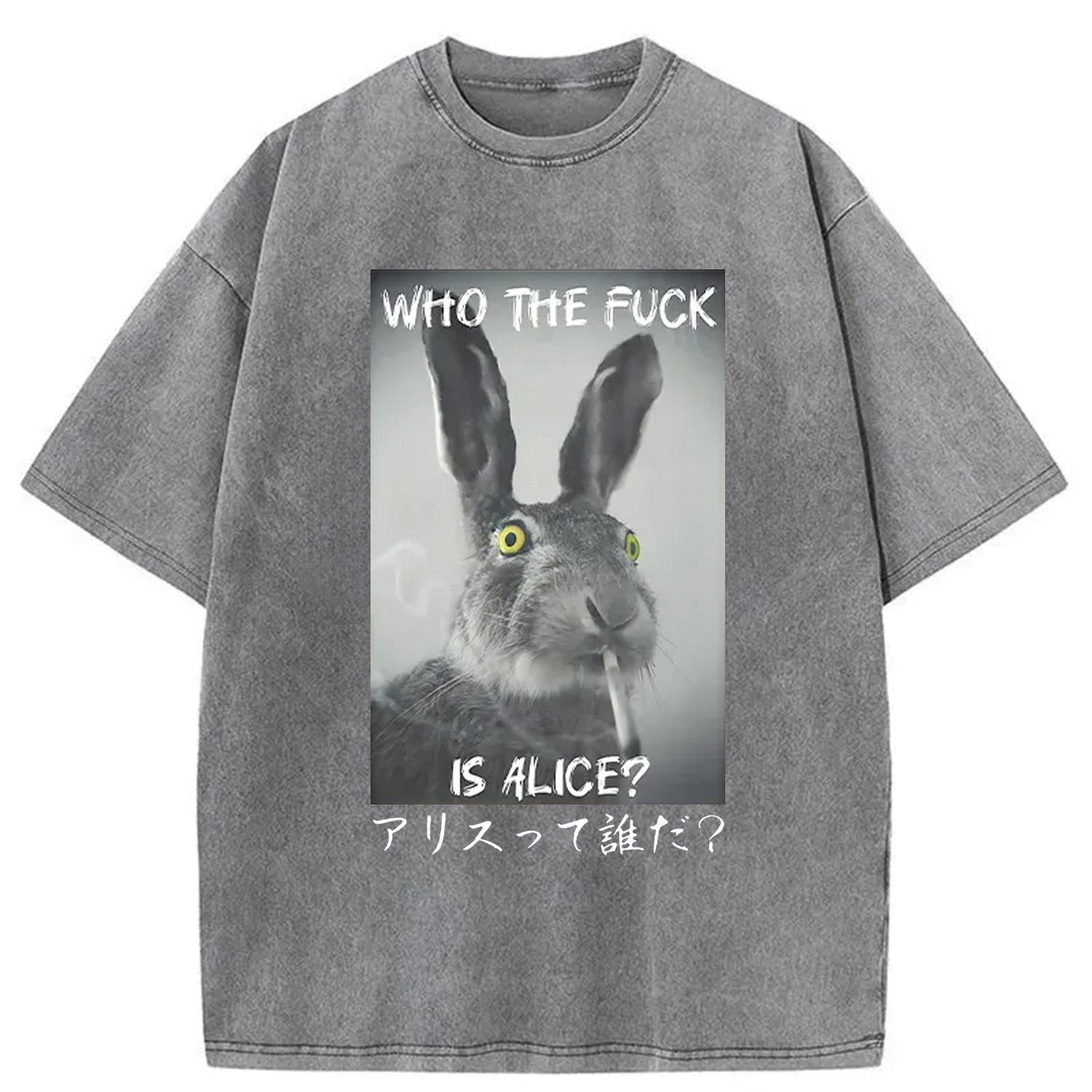 Modecanvas Who Is Alice? Washed T-Shirt