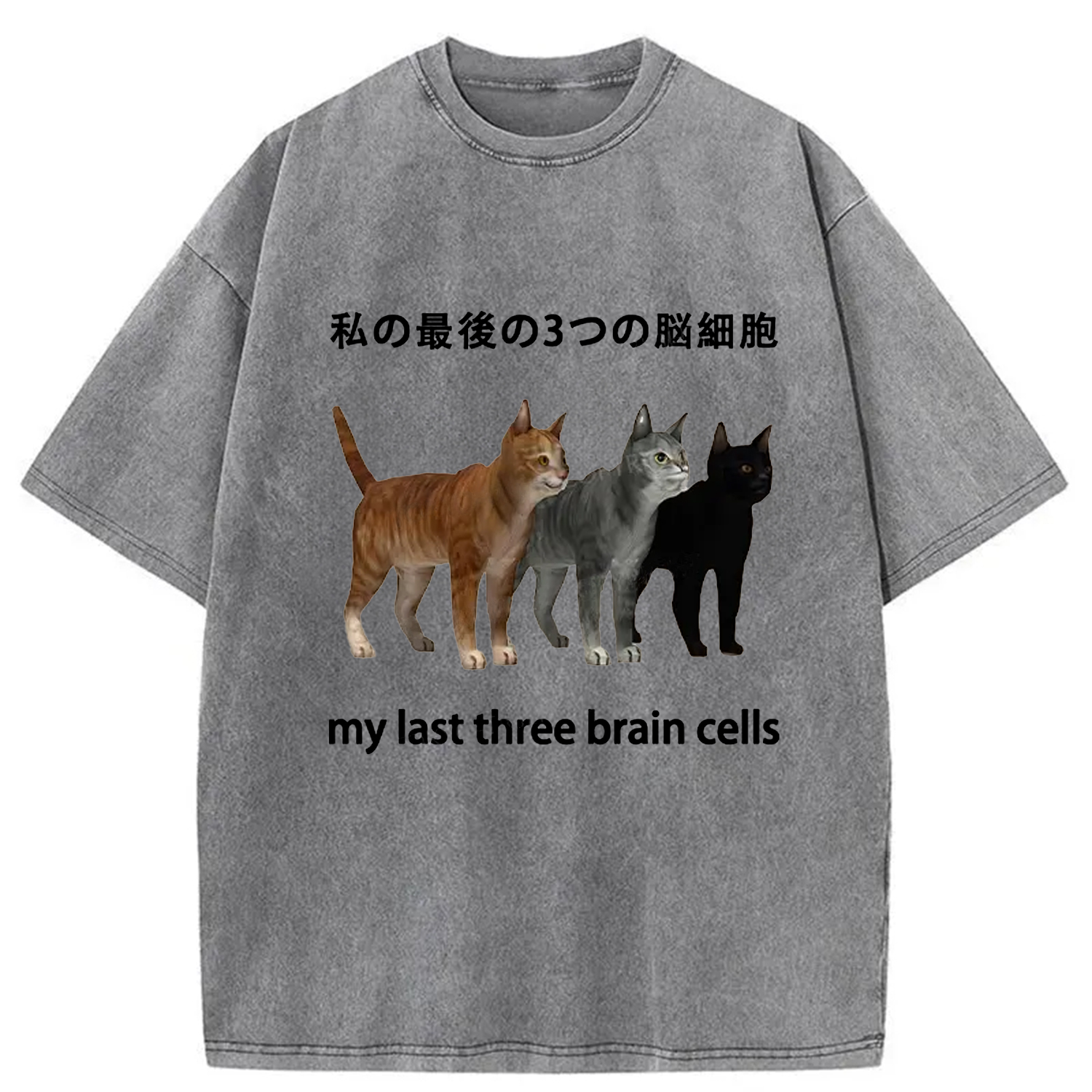 Modecanvas My Last Three Brain Cells Washed T-Shirt