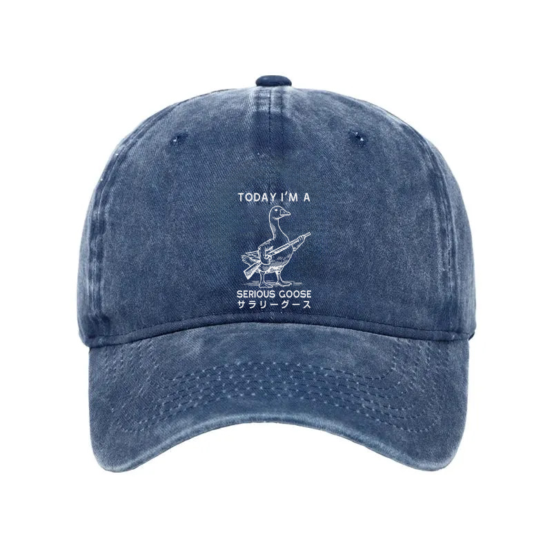 Modecanvas Serious Stupid Goose Washed Cap-modecanvas